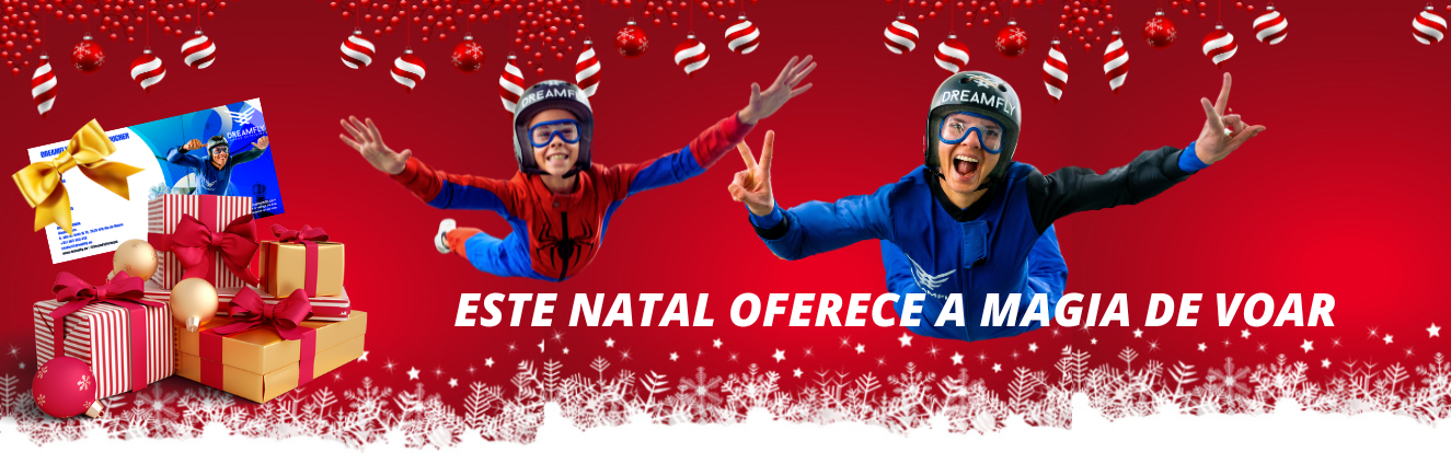 Christmas Banner DreamFly